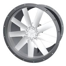 WhatsApp Image 2025-12-05 at 11.07.28 AM (2)